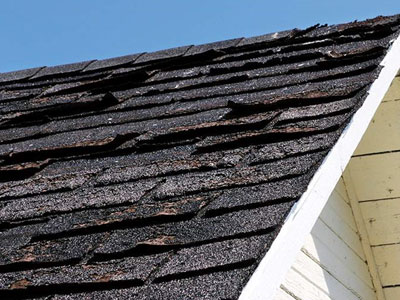 Todd Fritz Roofing Images